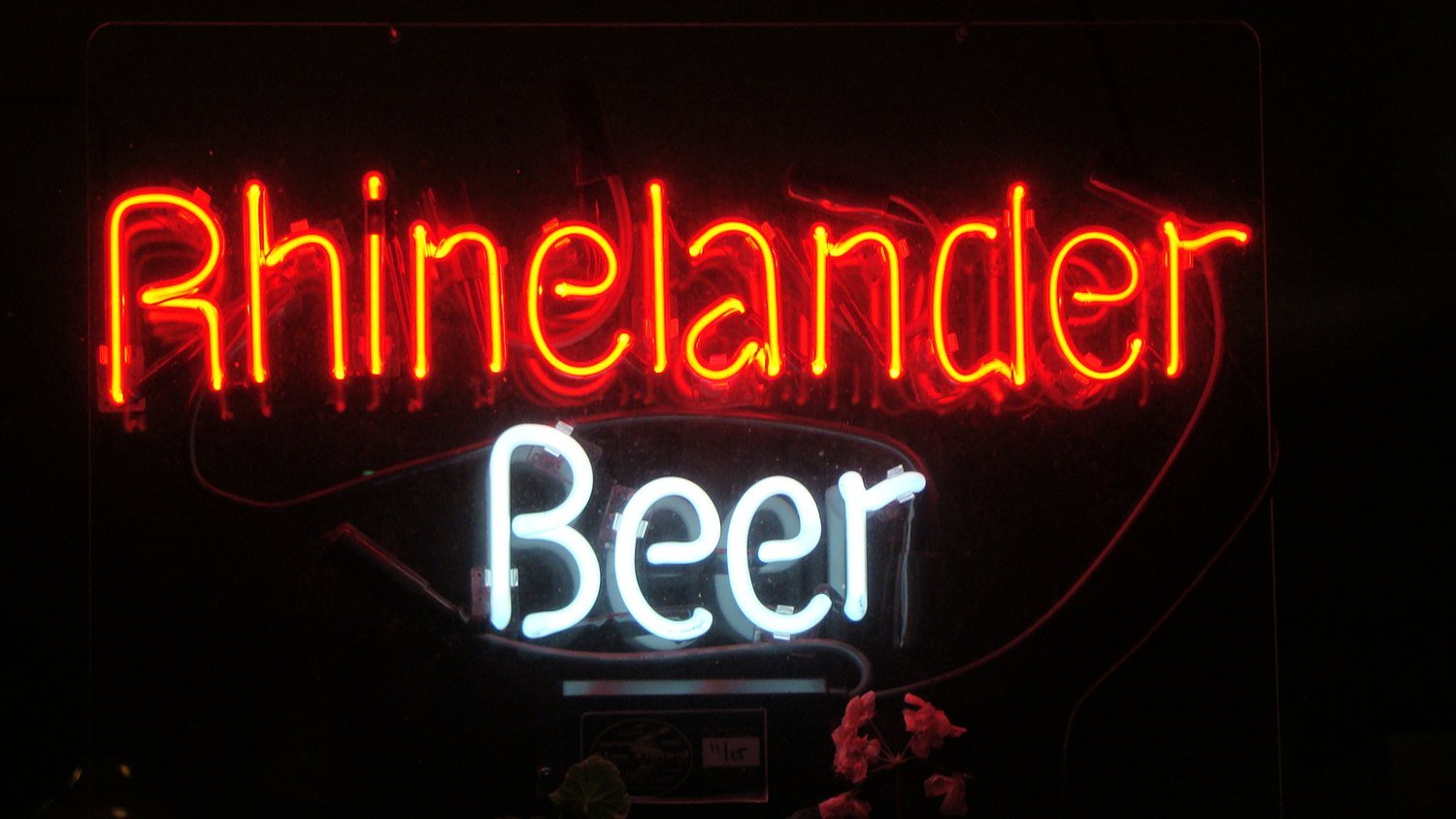 Neon Signs 3